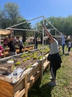 Community members building a shade structure at Acre 51